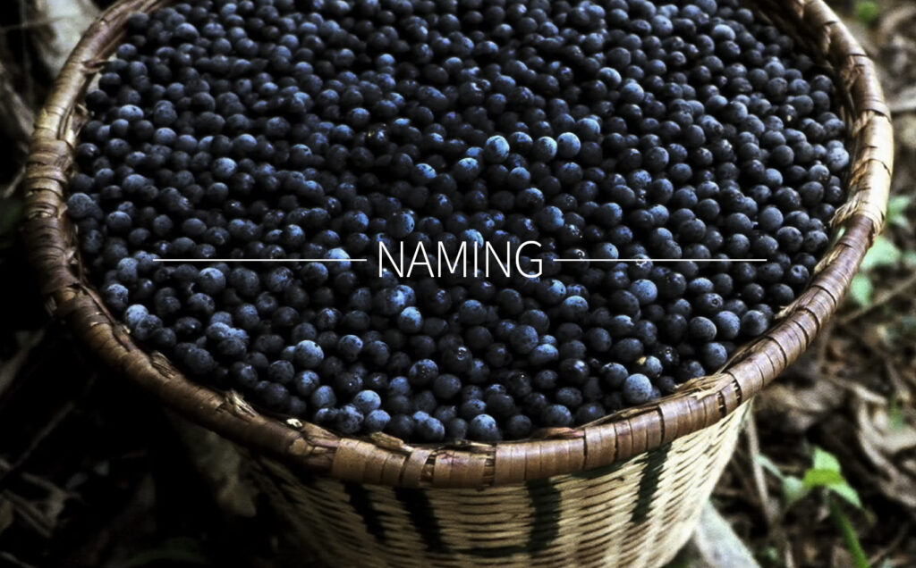 Aroldo Huttl Aroldo huttl