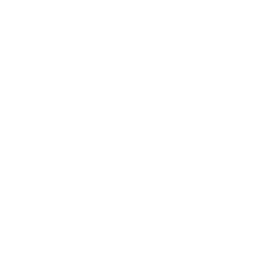 logo ft