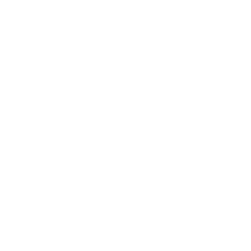 logo landini